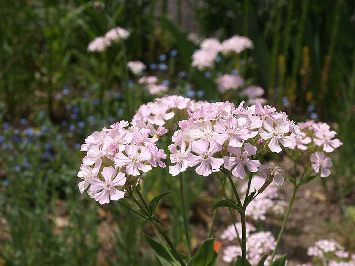 P4138215