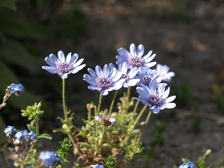 P4190267