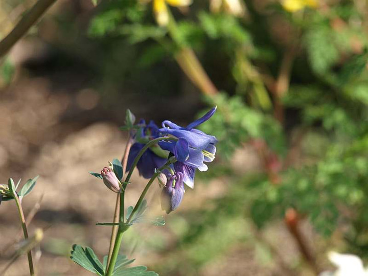 P4190291