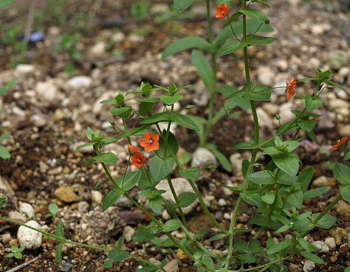 P4231073