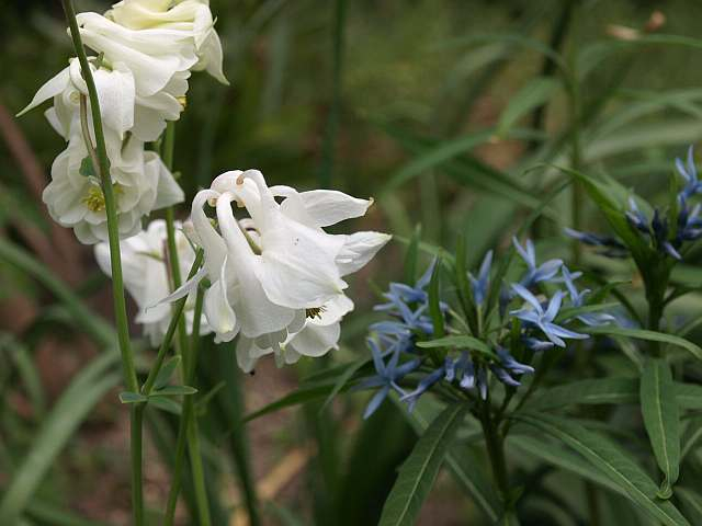 P4241203