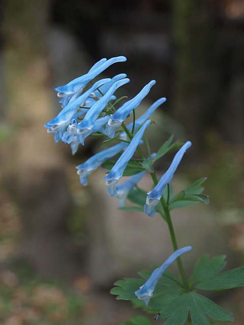 P5023188