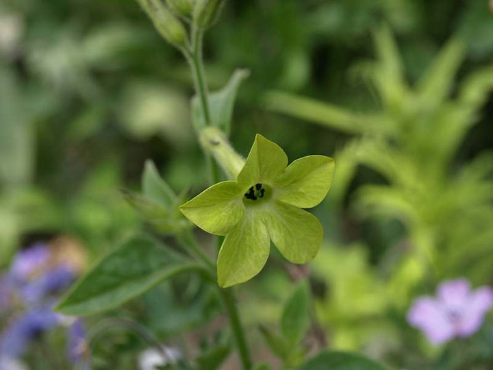 P5023151