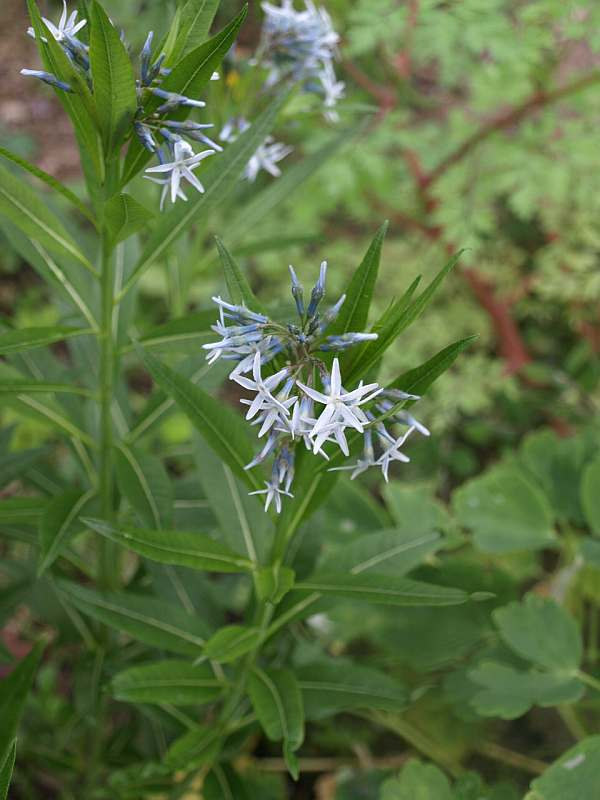 P5056411
