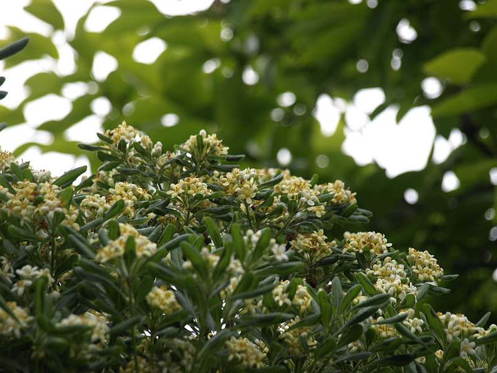 P5056340