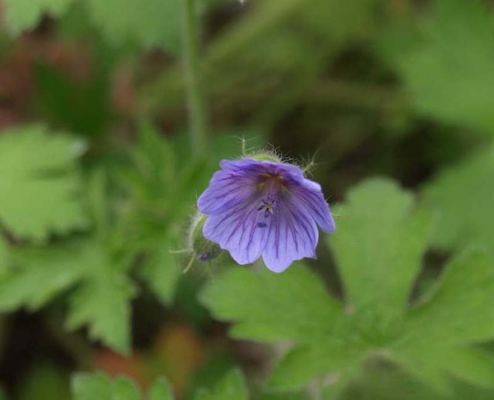 P5056406