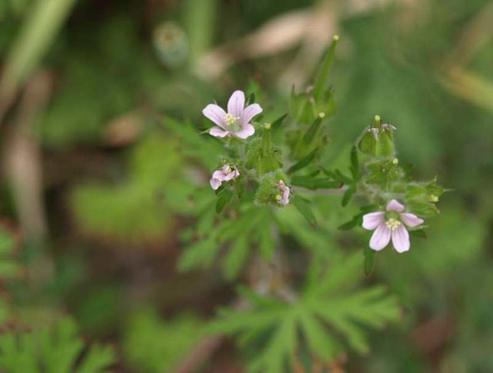 P5056434