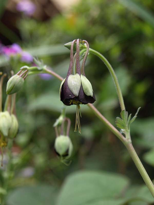 P5056457