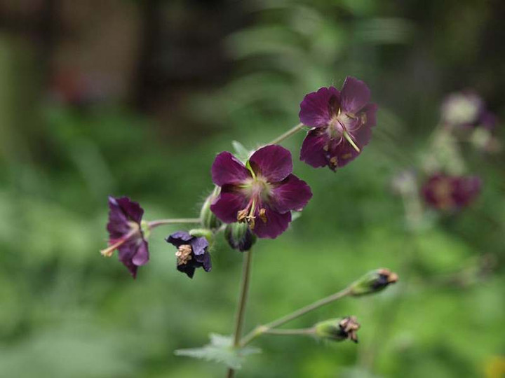 P5056465