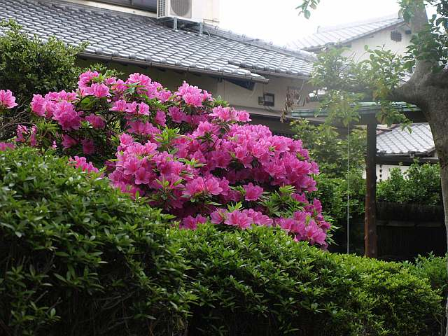 P5056468