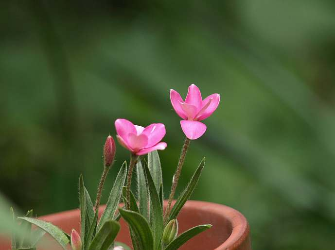 P5066507
