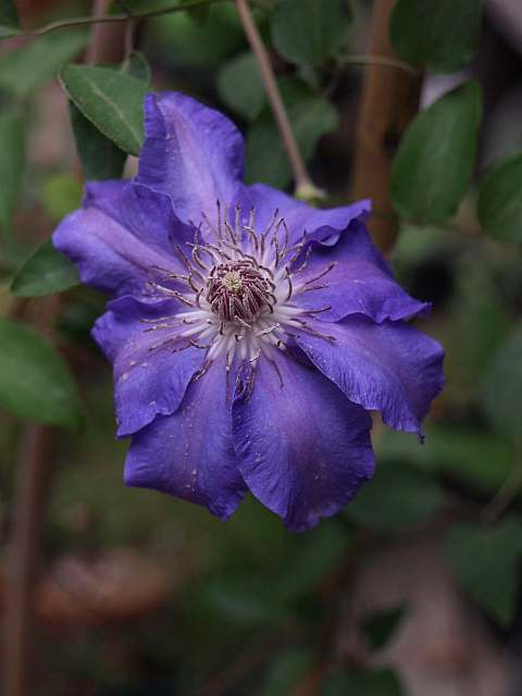 P4200353