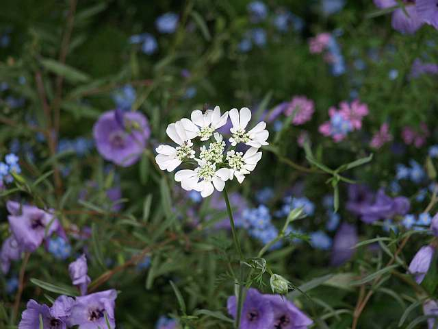 P5076602