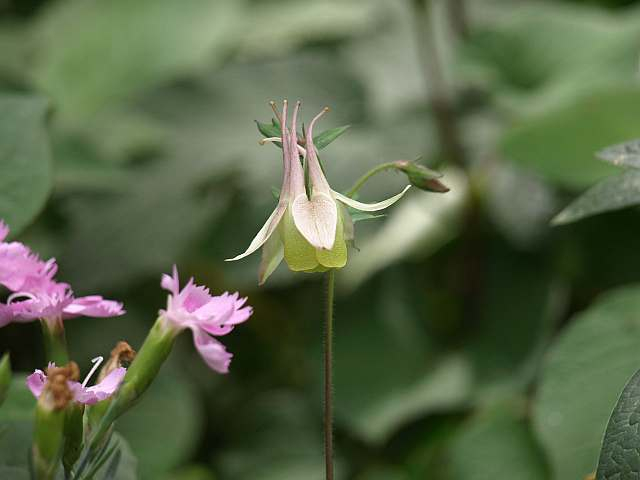 P5228638