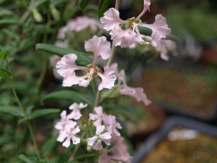 P5056449
