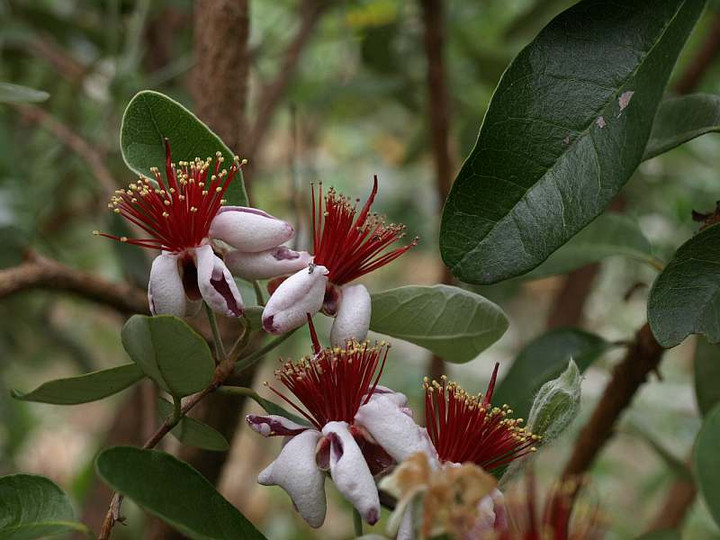 P6050485