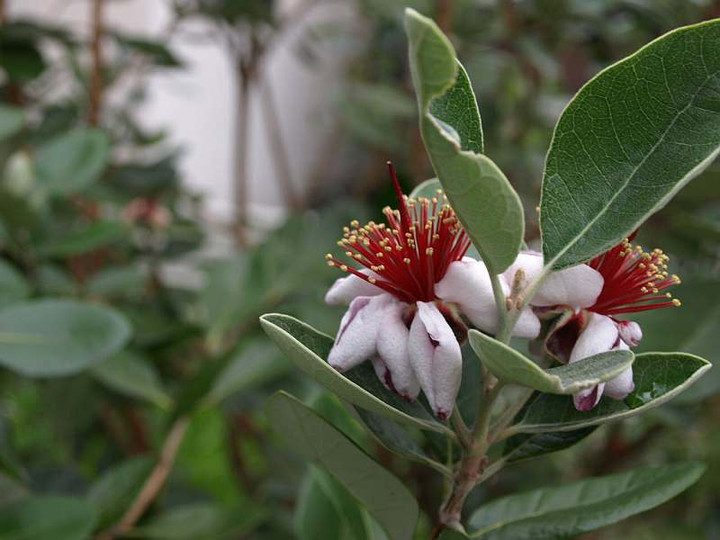 P6050486