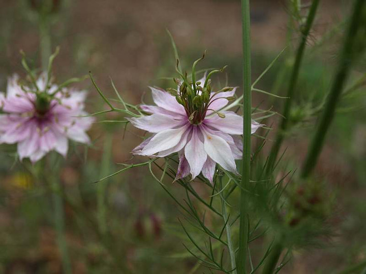 P6050490