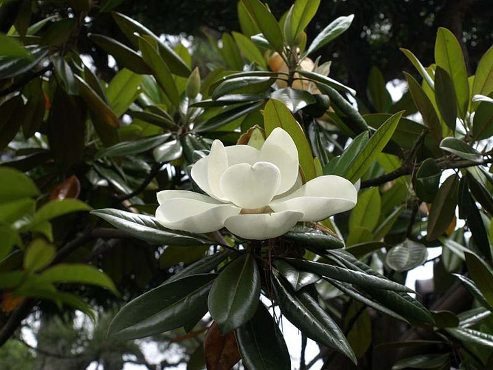 P6040310
