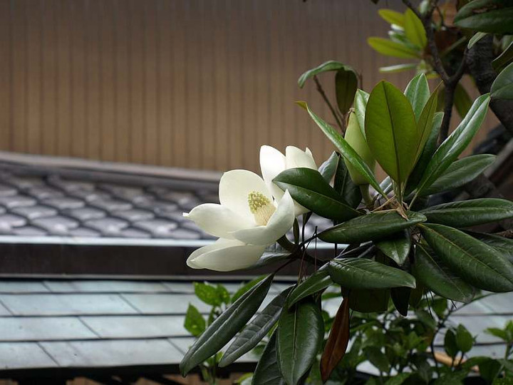 P6040313