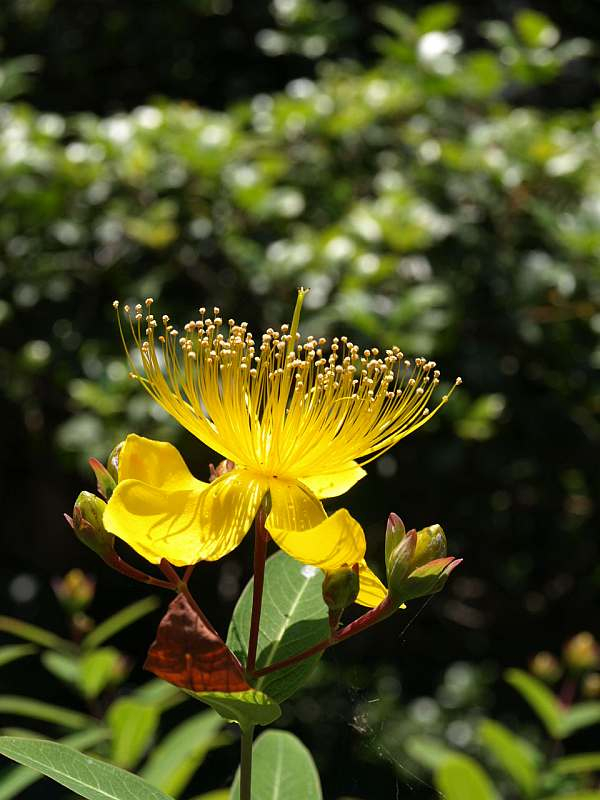 P6060508