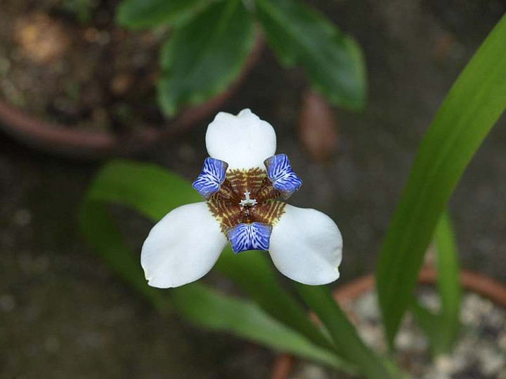 P6080583