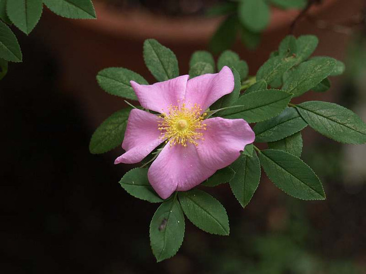 P6131120