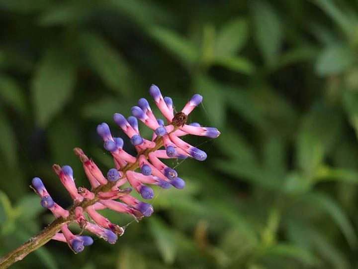 P6282986