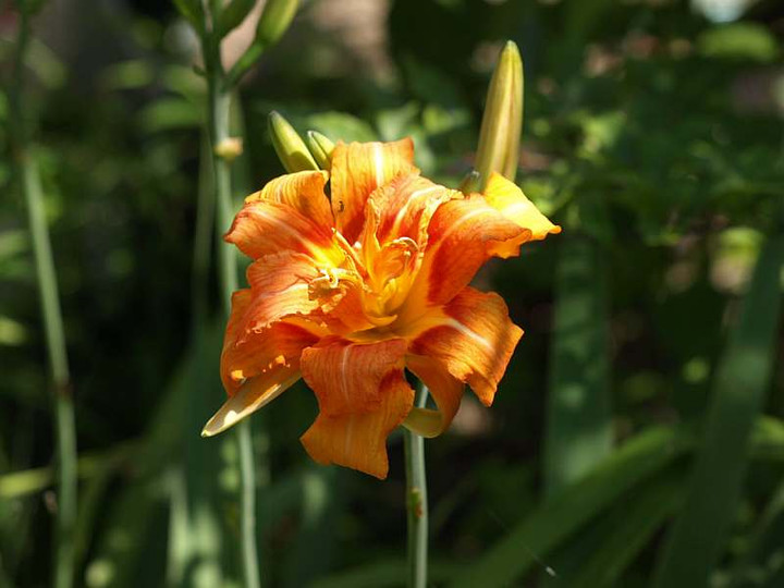 P6283000