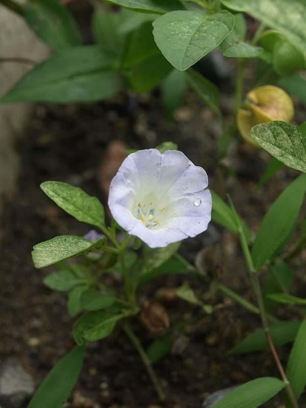 P7013121