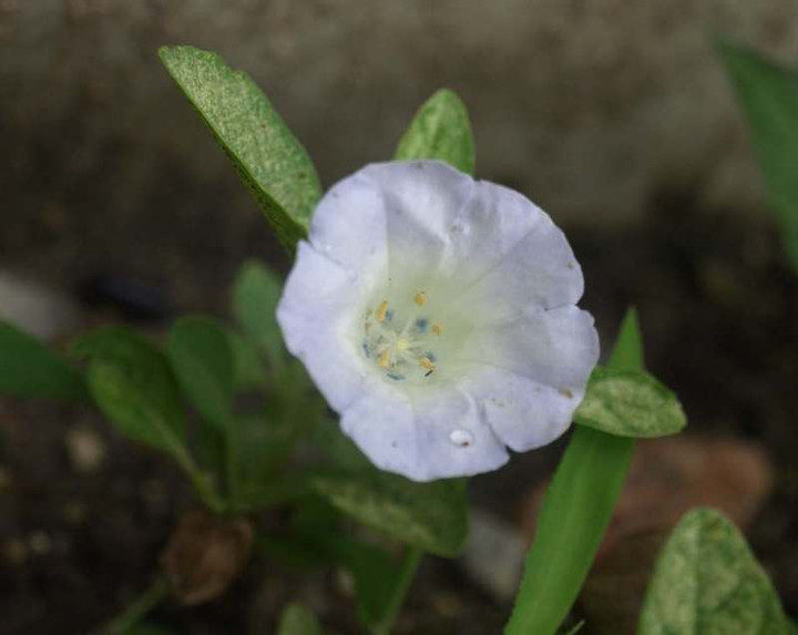 P7013122