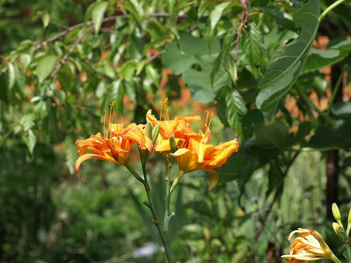 P7023135