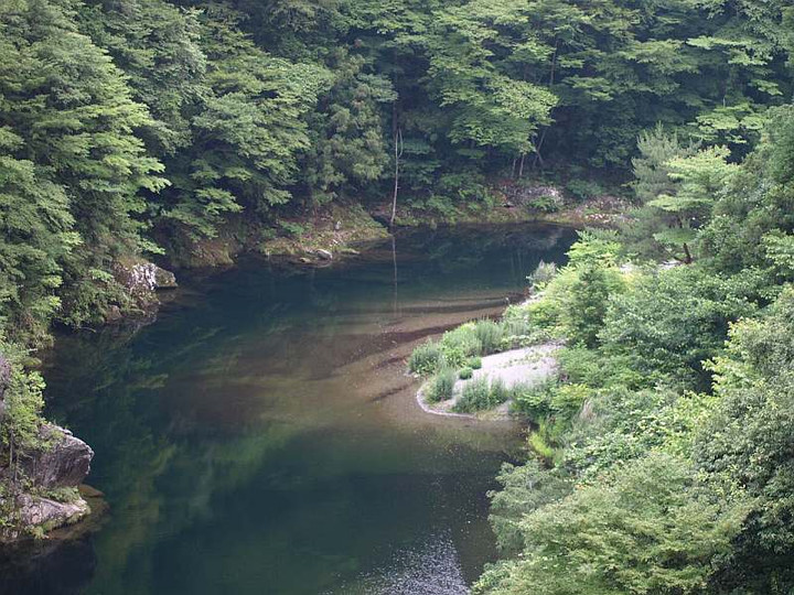 P6252914douzanngawano_huti