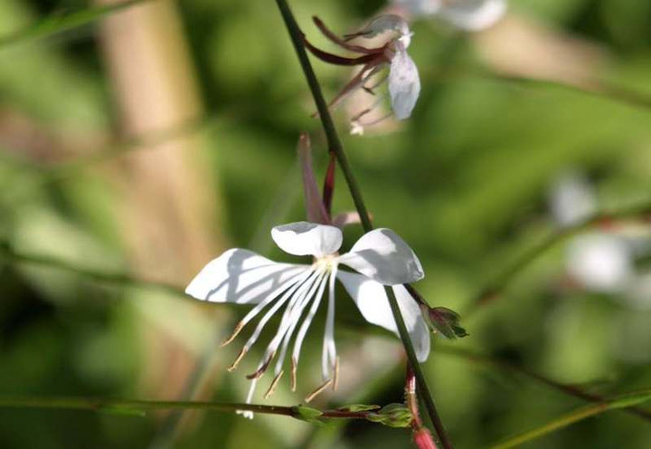 P6282997