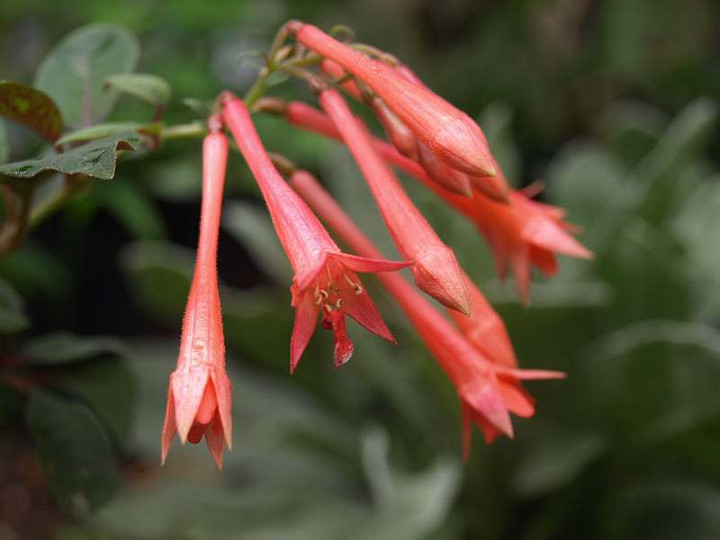 P7013102