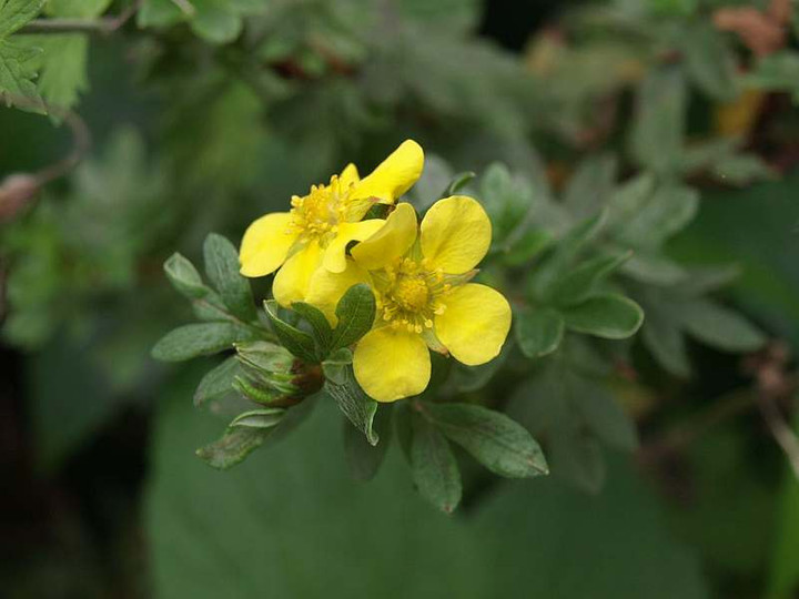 P7013125