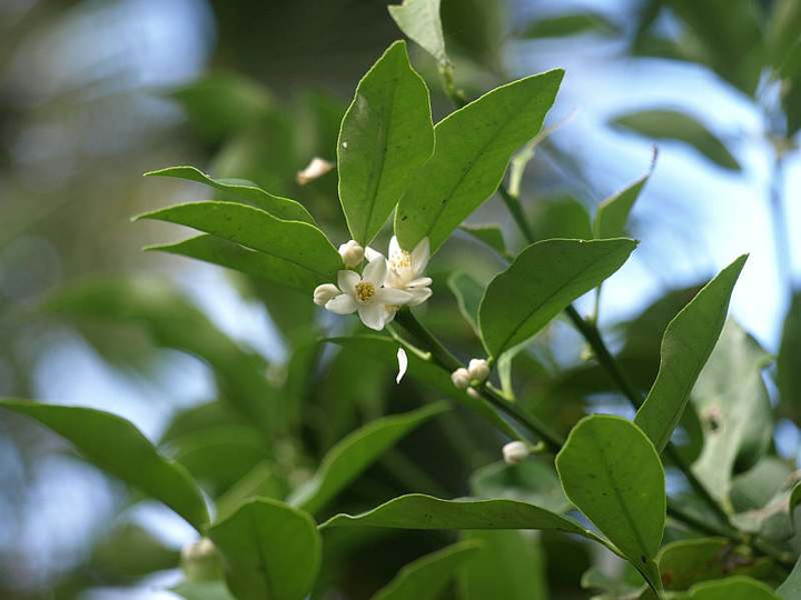 P7023133