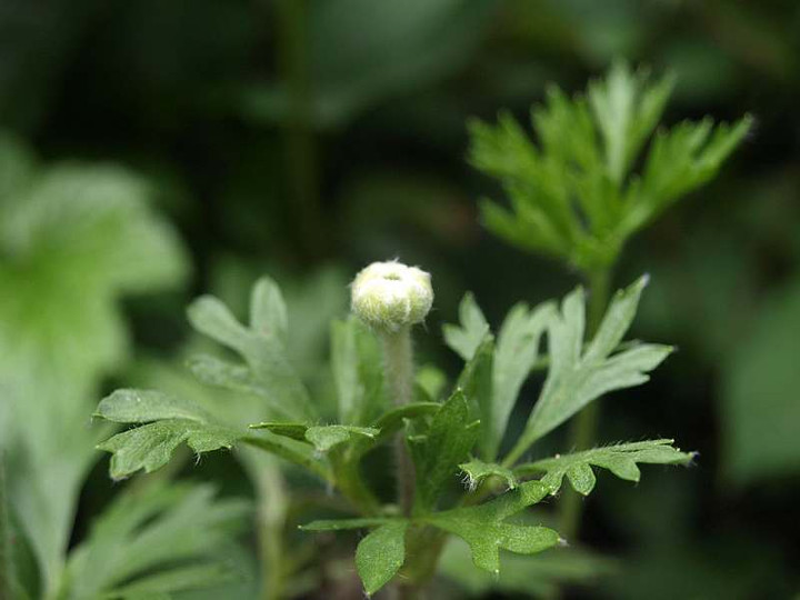 P7053389