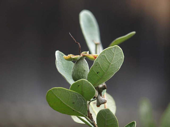 P7093716