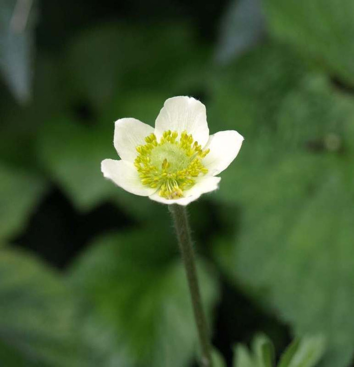 P7093731