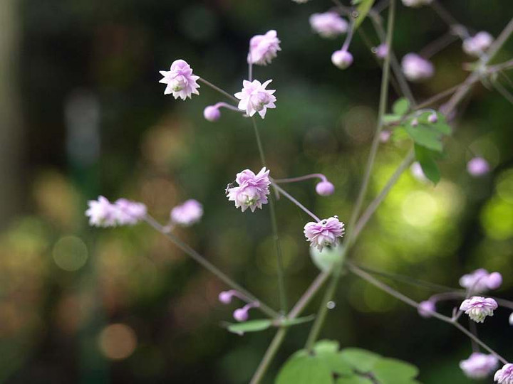 P7103741