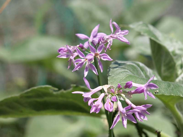 P7305942
