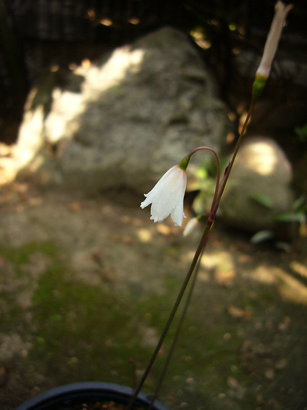 P1010832