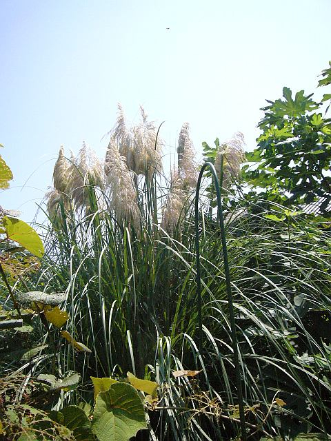 P1010566