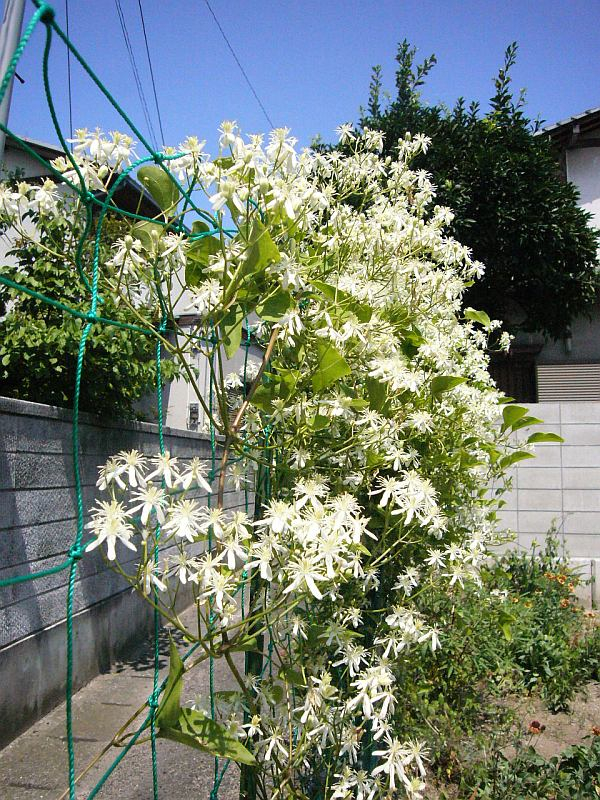 P1010572