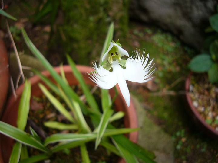 P1010985