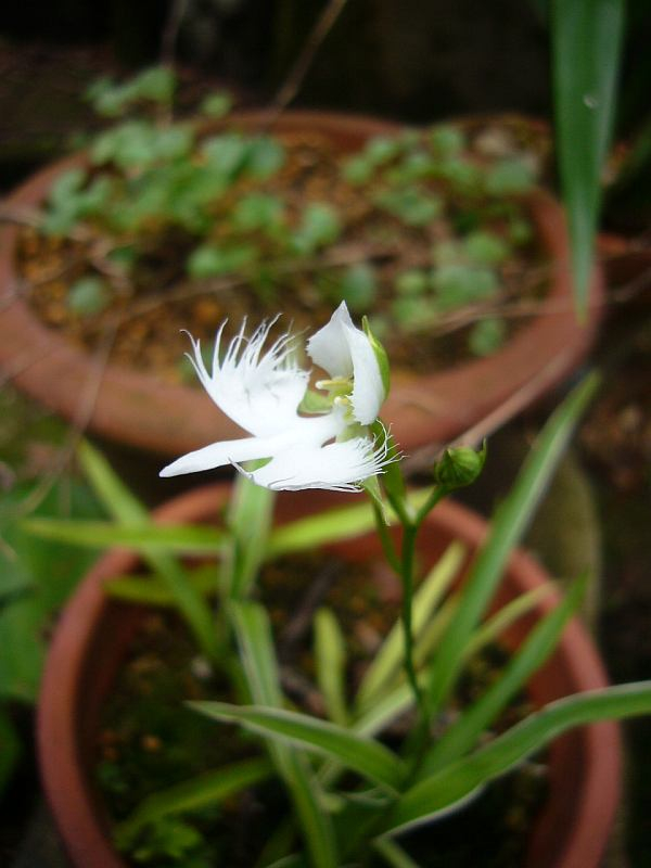 P1010987