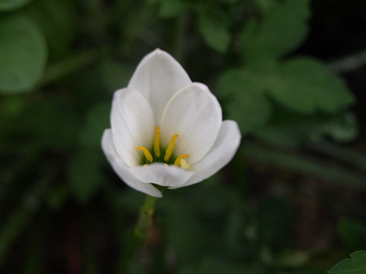 P9027750