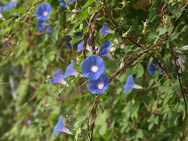 P9057995