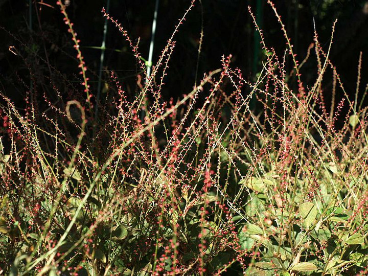P9210244